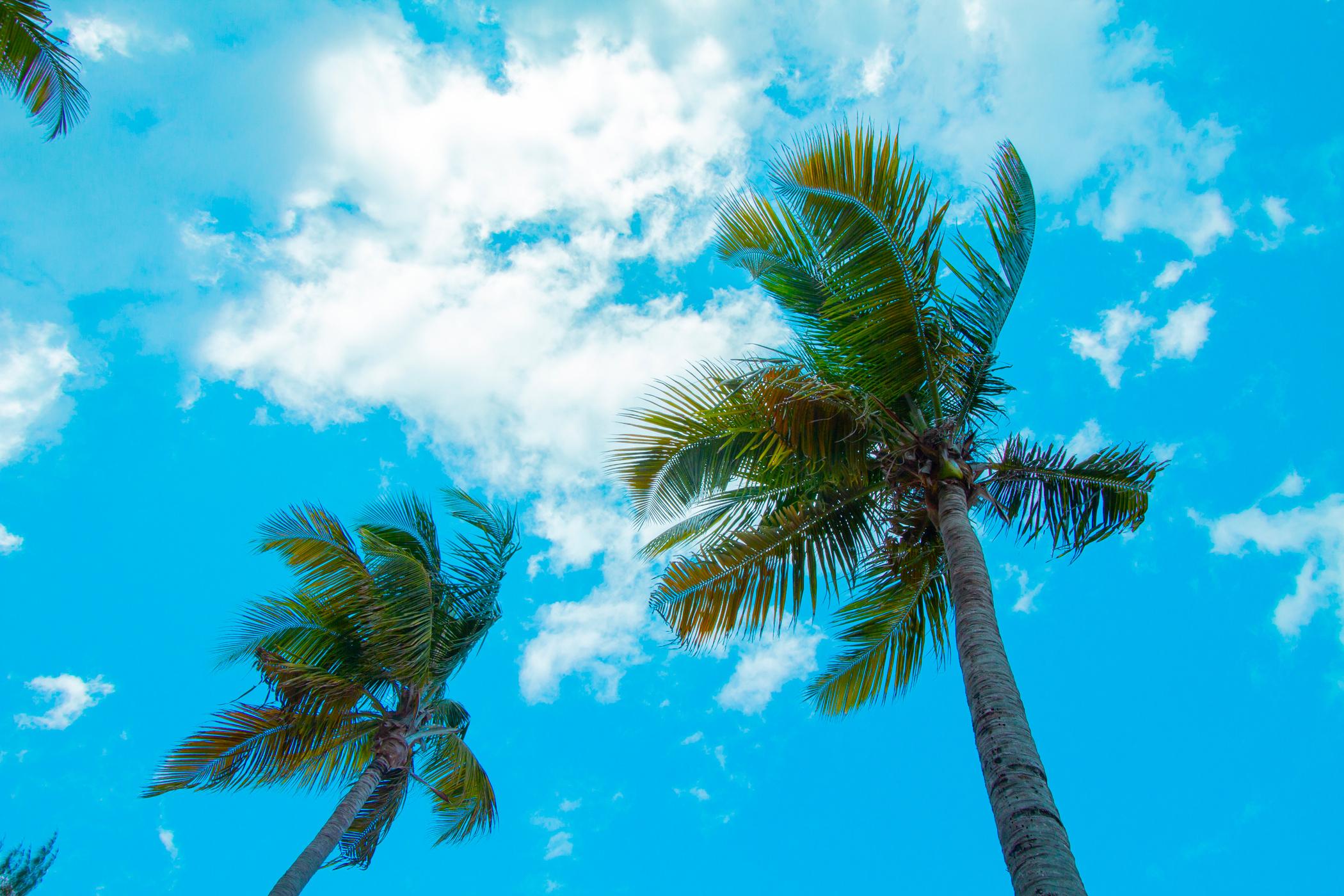 Tryp By Wyndham Isla Verde San Juan Exteriör bild