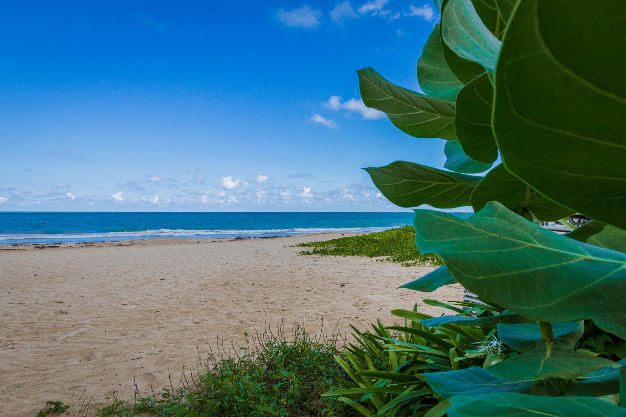 Tryp By Wyndham Isla Verde San Juan Exteriör bild